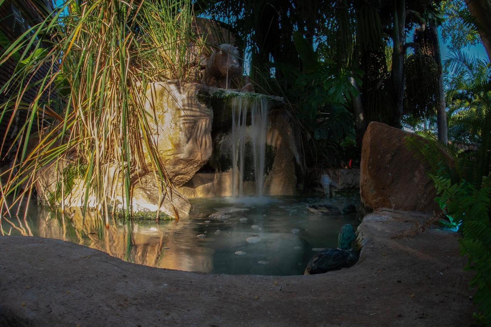 Dei Gratia Guest House Musina Εξωτερικό φωτογραφία